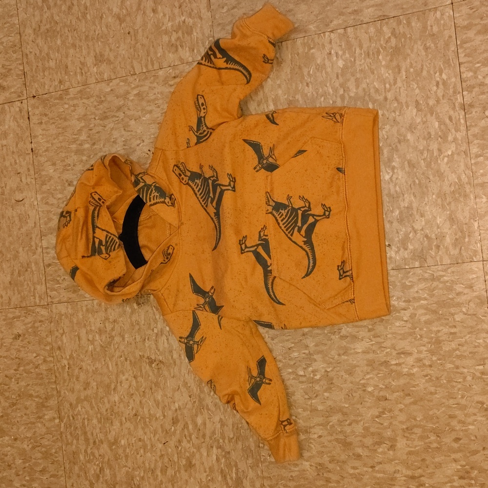 Dinosaur Print Hoodie for Kids